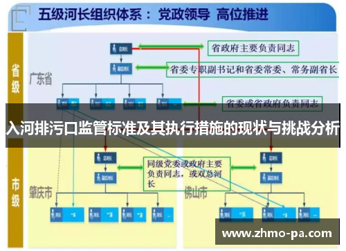 入河排污口监管标准及其执行措施的现状与挑战分析