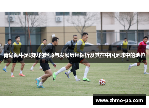 青岛海牛足球队的起源与发展历程探析及其在中国足球中的地位