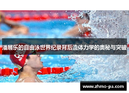潘展乐的自由泳世界纪录背后流体力学的奥秘与突破